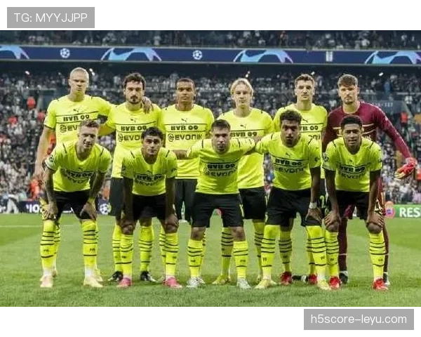 德甲转会窗临近,劲旅密集谋划阵容升级 德甲转会窗临近,劲旅密集谋划阵容升级