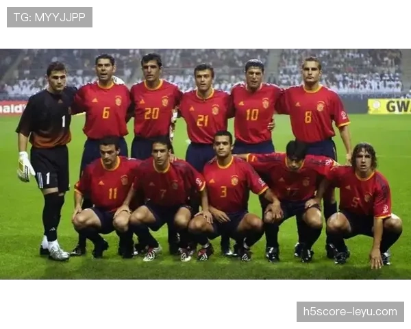 西班牙2010年世界杯夺冠之路:团结与信念铸就辉煌,状态回暖引关注 西班牙2010年世界杯夺冠之路:团结与信念铸就辉煌,状态回暖引关注