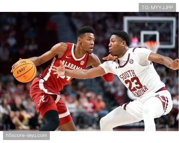 南美锋线新星强势回暖，足坛聚焦新一代进攻力量